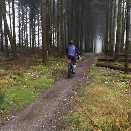 Caversham Woods Lidgetton المظهر الخارجي الصورة