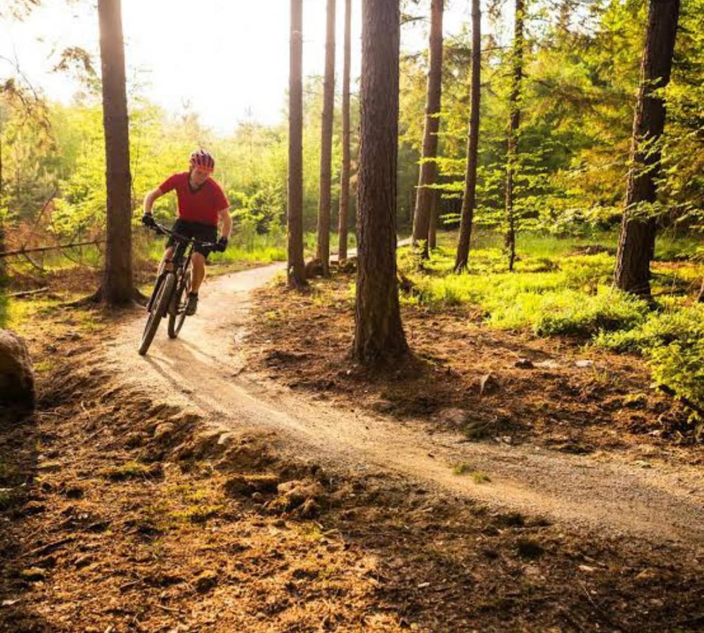 Caversham Woods Lidgetton المظهر الخارجي الصورة