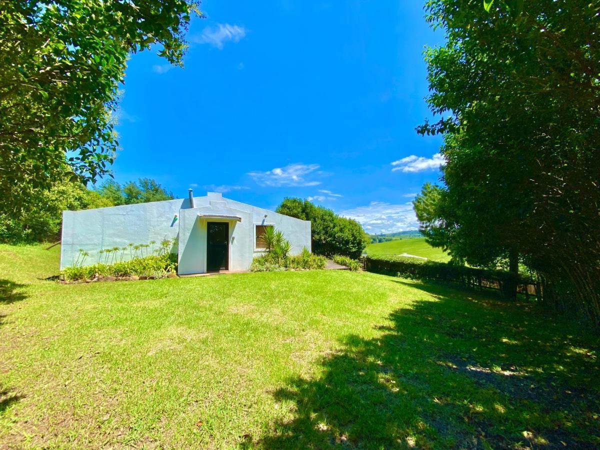 Caversham Woods Lidgetton المظهر الخارجي الصورة